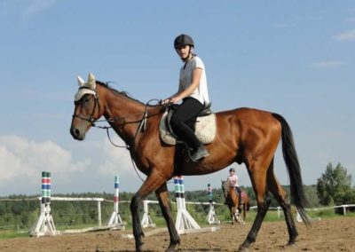 oboz-konie-2016-5-2-0365