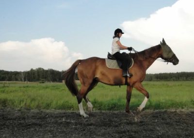 oboz-konie-2016-5-3-0003