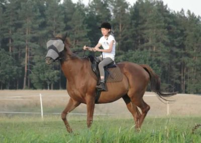 oboz-konie-2016-5-3-0013
