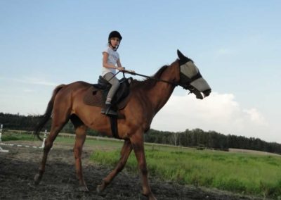 oboz-konie-2016-5-3-0020