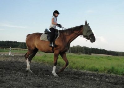 oboz-konie-2016-5-3-0021
