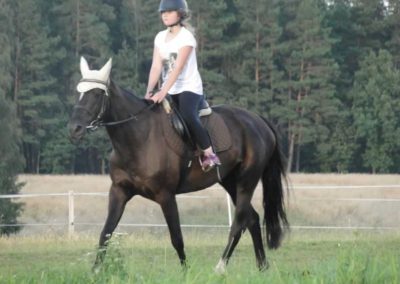 oboz-konie-2016-5-3-0031