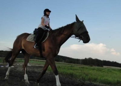 oboz-konie-2016-5-3-0053