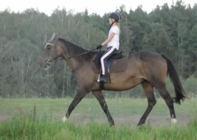 oboz-konie-2016-5-3-0055