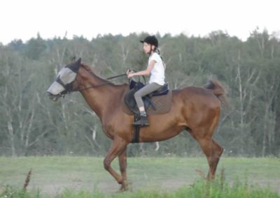 oboz-konie-2016-5-3-0057