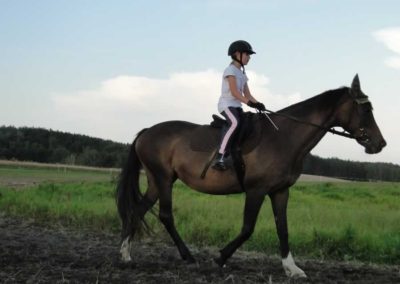 oboz-konie-2016-5-3-0059