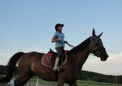 oboz-konie-2016-5-3-0060