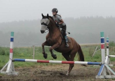 oboz-konie-2016-5-4-0016
