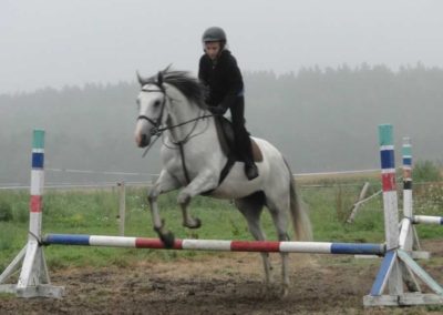 oboz-konie-2016-5-4-0017