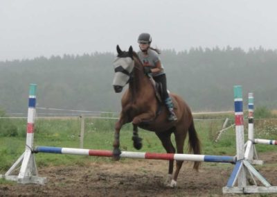 oboz-konie-2016-5-4-0020