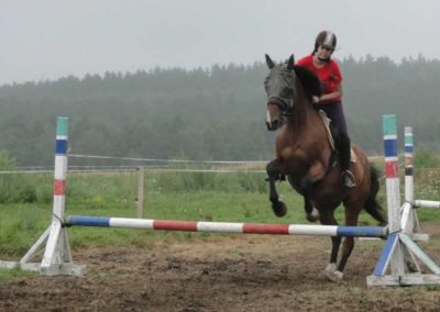 oboz-konie-2016-5-4-0023