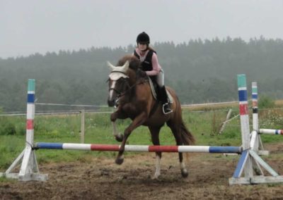 oboz-konie-2016-5-4-0025