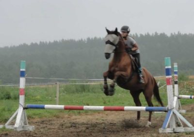 oboz-konie-2016-5-4-0027
