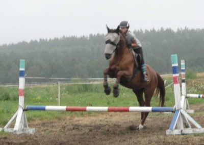 oboz-konie-2016-5-4-0031