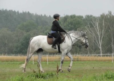 oboz-konie-2016-5-4-0049