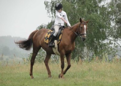 oboz-konie-2016-5-4-0052