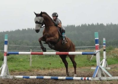 oboz-konie-2016-5-4-0065