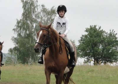 oboz-konie-2016-5-4-0082