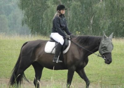 oboz-konie-2016-5-4-0088