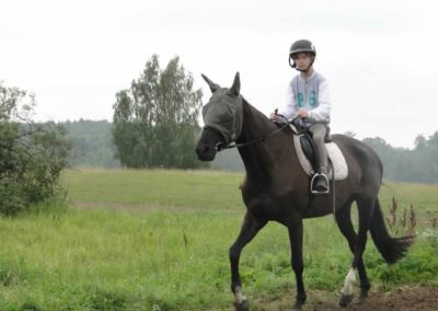 oboz-konie-2016-5-4-0143