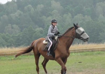 oboz-konie-2016-5-4-0151