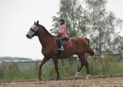 oboz-konie-2016-5-7-0001