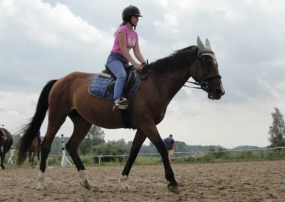 oboz-konie-2016-5-7-0003