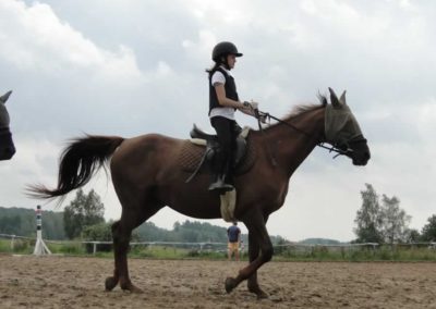 oboz-konie-2016-5-7-0005