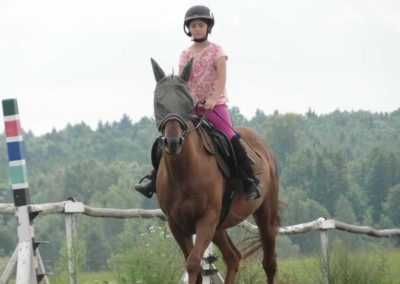 oboz-konie-2016-5-7-0011