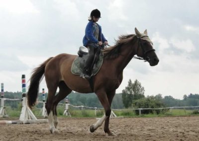 oboz-konie-2016-5-7-0015