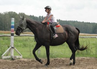 oboz-konie-2016-5-7-0032