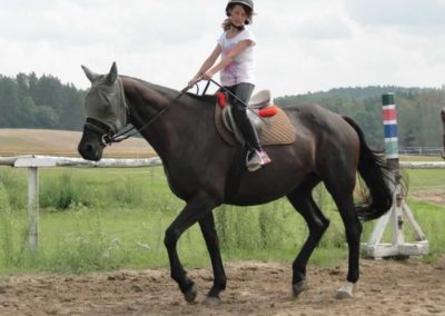oboz-konie-2016-5-7-0040