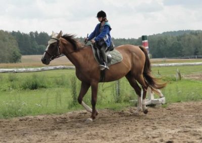 oboz-konie-2016-5-7-0047