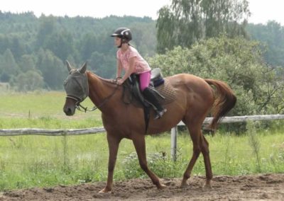 oboz-konie-2016-5-7-0048