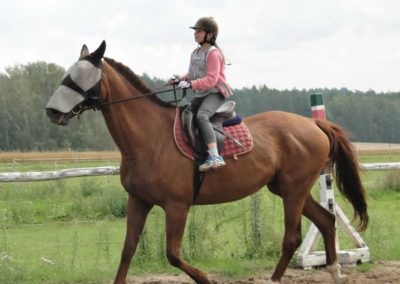 oboz-konie-2016-5-7-0053
