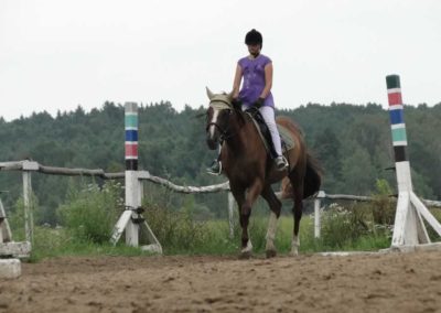 oboz-konie-2016-5-7-0093