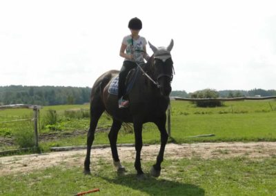 oboz-konie-2016-6-1-0001