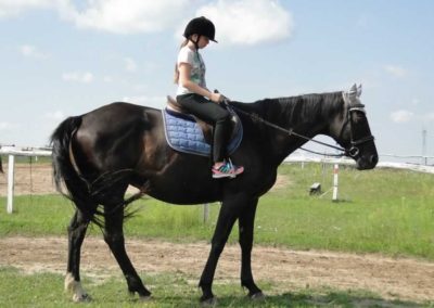 oboz-konie-2016-6-1-0002