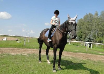 oboz-konie-2016-6-1-0011