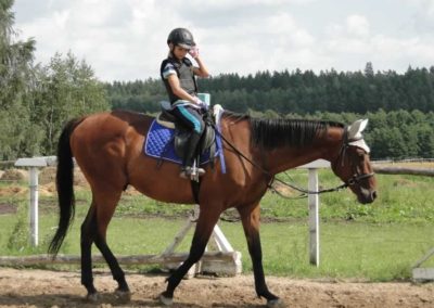 oboz-konie-2016-6-1-0042