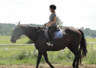 oboz-konie-2016-6-1-0092