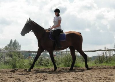 oboz-konie-2016-6-1-0093