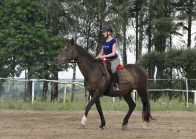 oboz-konie-2016-6-1-0111