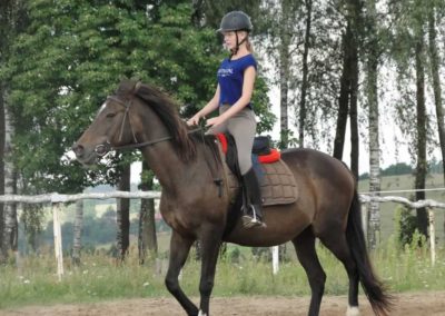 oboz-konie-2016-6-1-0118