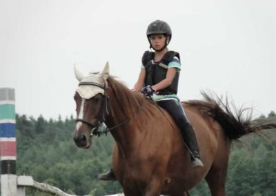oboz-konie-2016-6-1-0154