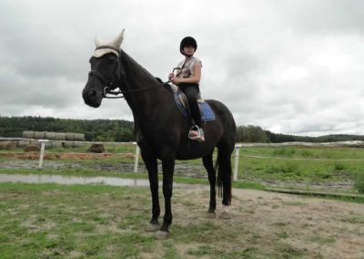 oboz-konie-2016-6-2-0006