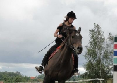 oboz-konie-2016-6-2-0022