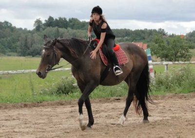 oboz-konie-2016-6-2-0048