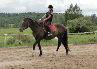 oboz-konie-2016-6-2-0049