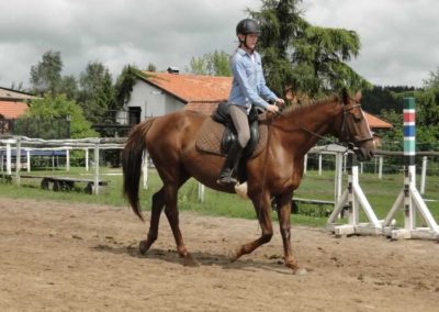 oboz-konie-2016-6-2-0111